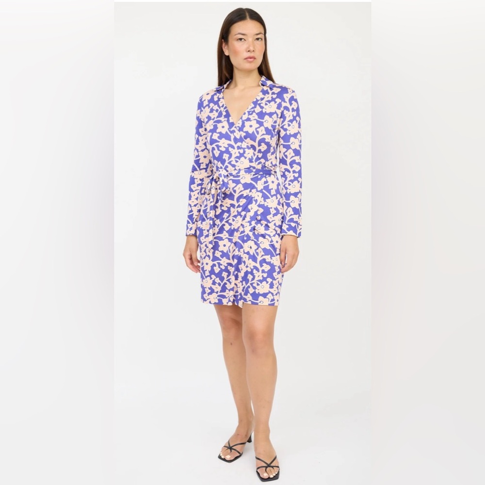 Diane Von Furstenberg Burma Rose Reina Silk Shift Dress Size 10